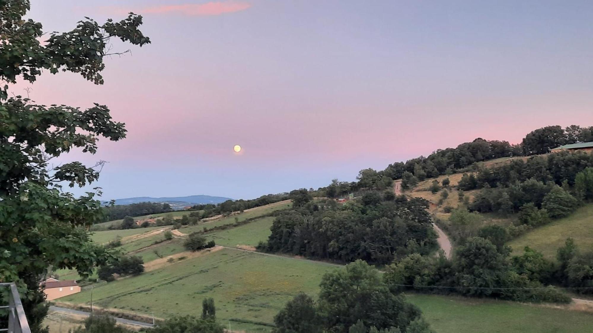 Beaujolais - Maison Pierres Dorees *