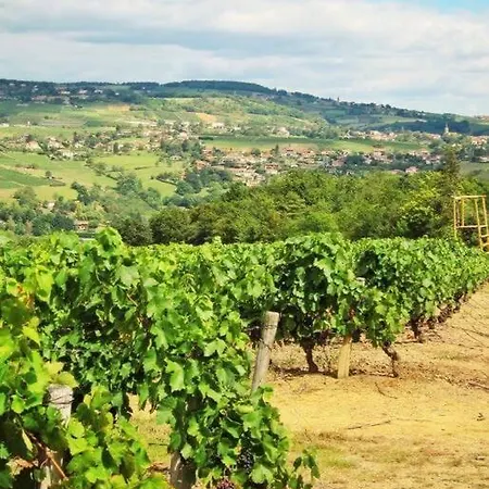 Beaujolais - Maison Pierres Dorees Ville-sur-Jarnioux Esterno foto