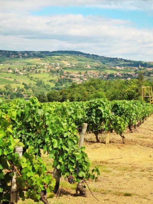 Beaujolais - Maison Pierres Dorees *